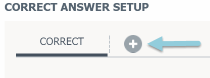 The plus button from Correct Answer Setup